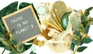 What are eco friendly products