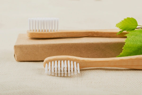 Do Dentists Recommend Bamboo Toothbrushes? Expert Insights Revealed