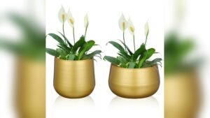 Unique Small Brass Planters for Retro Bedroom Shelves: Stylish Decor Ideas