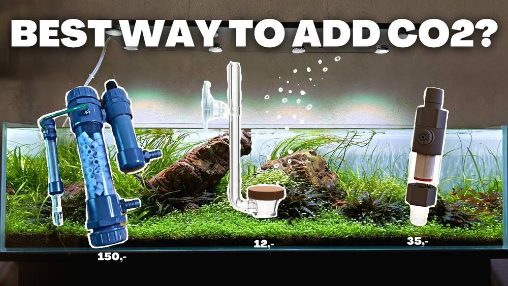 How to Add Co2 to Aquarium: Ultimate Guide for Lush Plant Growth