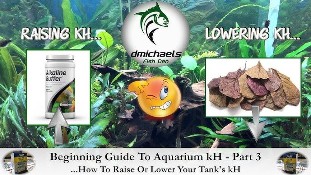 How to Raise Kh in Aquarium: Easy Tips for Healthy Water Quality